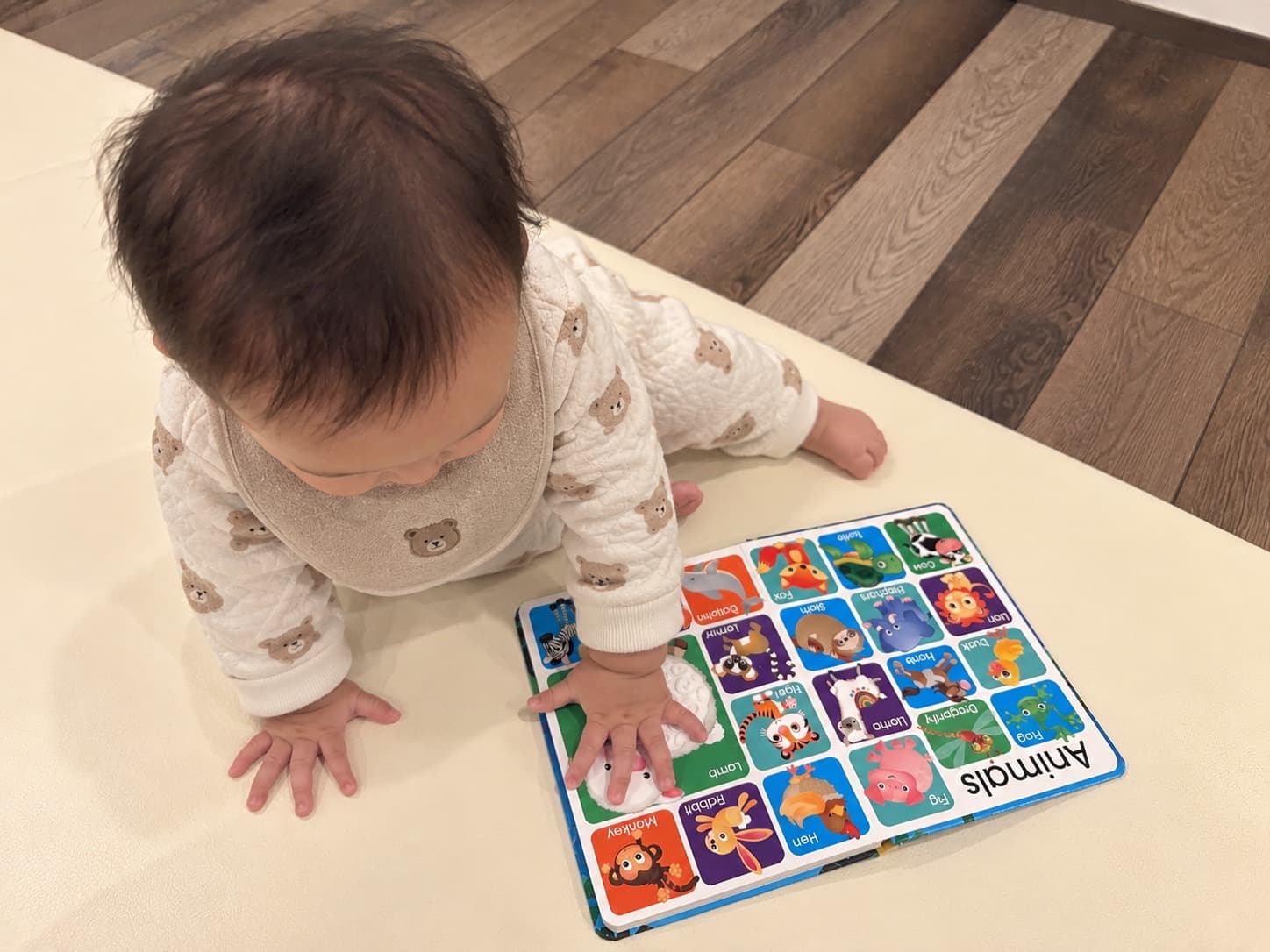 英語の動物ボードブックに手をのせて、じっと見入っている赤ちゃん